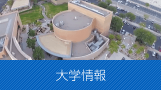 大学情報